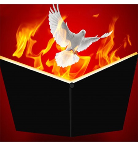 Libro in fiamme +...