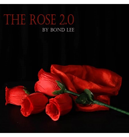 The Rose 2.0 by Bond Lee