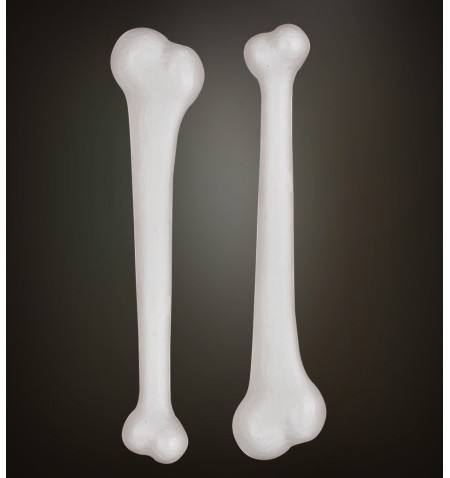 Set di 2 ossa