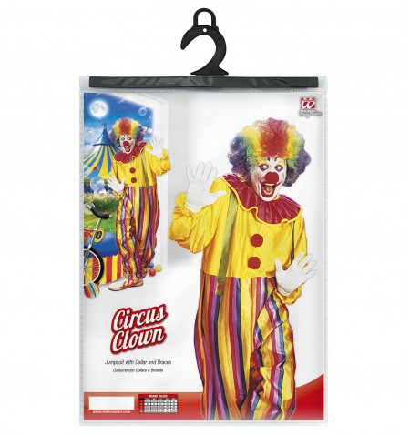 Costume circus clown