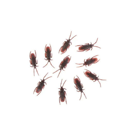 Set 10 scarafaggi in plastica