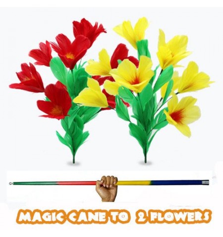 Magic Cane To 2 Flowers